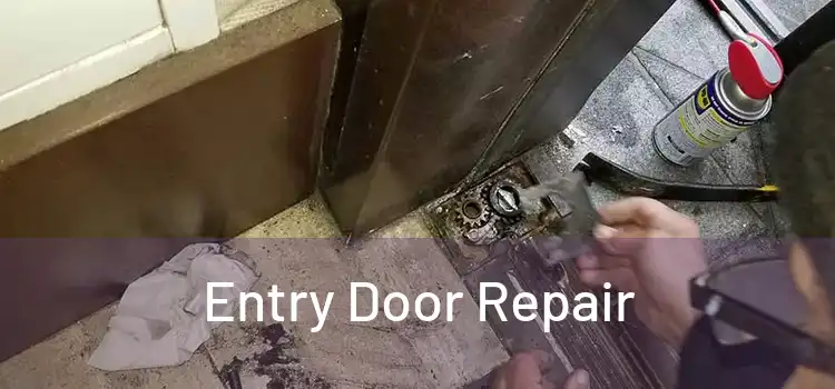 Entry Door Repair